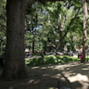 Meet your Posher, Evan